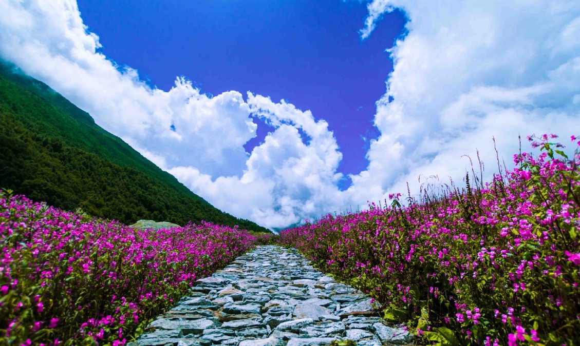 Kuber Palace Badrinath